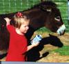 Old Family Picture Book 012.jpg